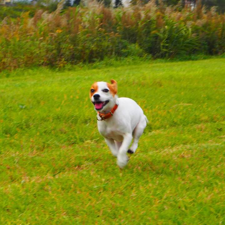 D87c1924 06c0 49a4 9a85 eb4e01037980