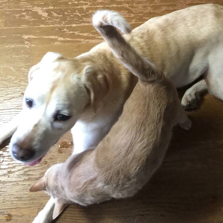 D87ce2d0 adca 4056 837f dfaaf82e94f9