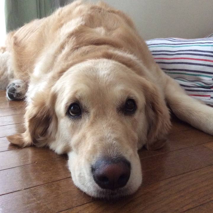 D87ceef7 bf9e 4ca5 879a a0bcf429c07f