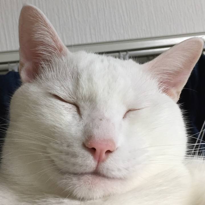 D87d7257 e3bd 49d6 8cb6 6c59b71105c5