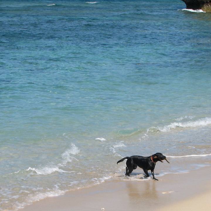 D87dca0f 4671 4272 82c0 9847e36dc6ca