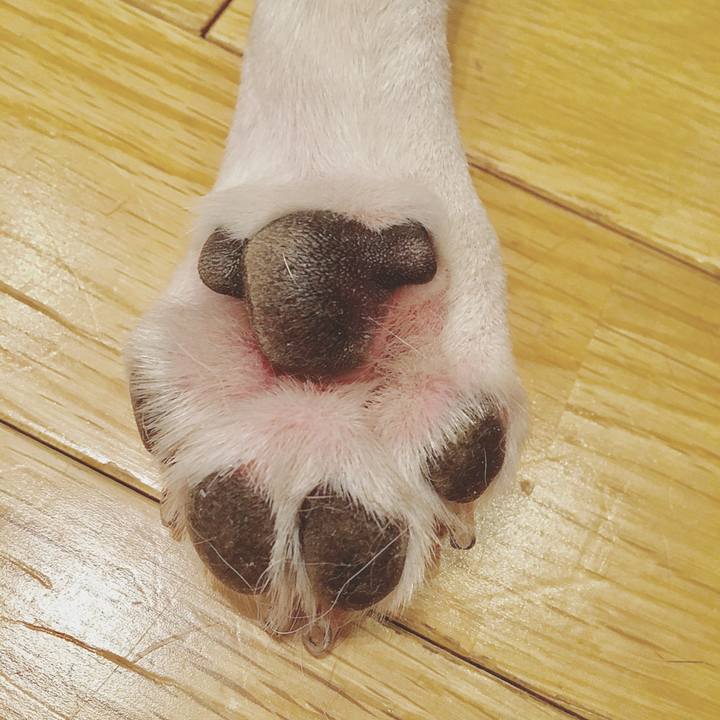 D87e84ac e858 42bb 851e 159825d2f9b3