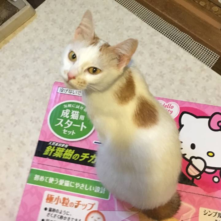 D87e915c fcd3 47ad aef7 19a74eb573ef