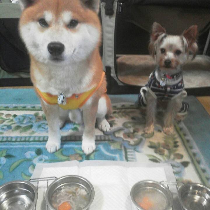 D87ea007 68c5 469c 8230 24221b3a804b