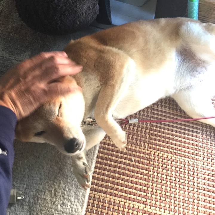 D87ee879 79f1 41f4 9652 3842d3ca3e10