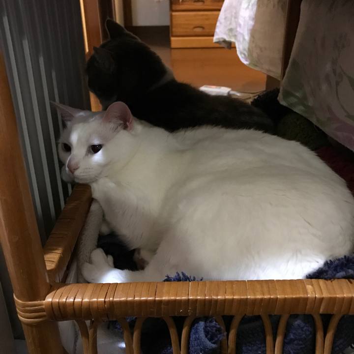 D87f7941 cae4 4e36 93a1 5b5814edc188