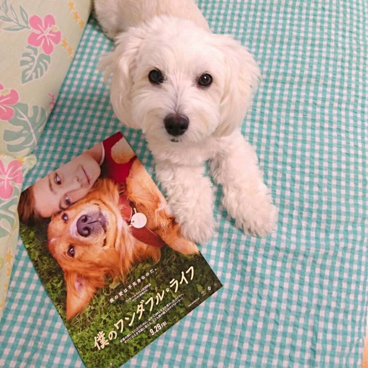 D87f7e5d 918c 4f6e 9bc1 06900ad7f6a5