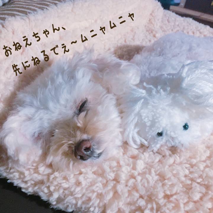 D87fe49f 4e78 4d36 9dce 62b9f3752003