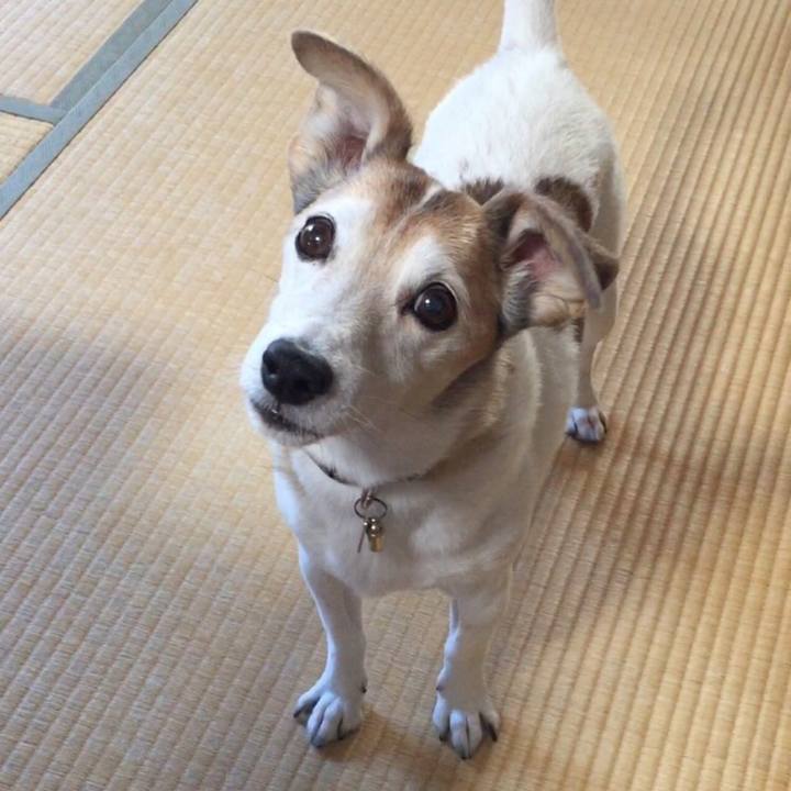 D87fe66b 5a80 4209 986f b67286a8fc8b