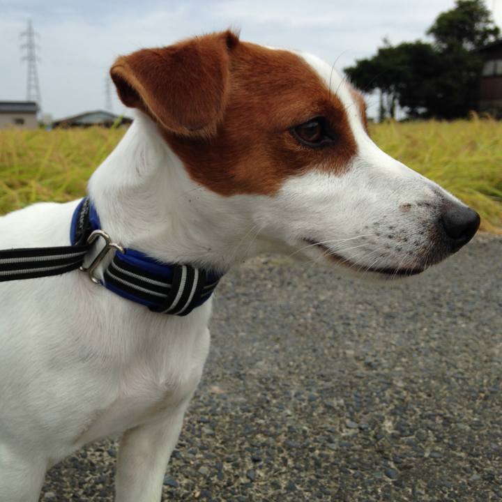 D8805d98 a899 45f5 99af e3bde651ec8e