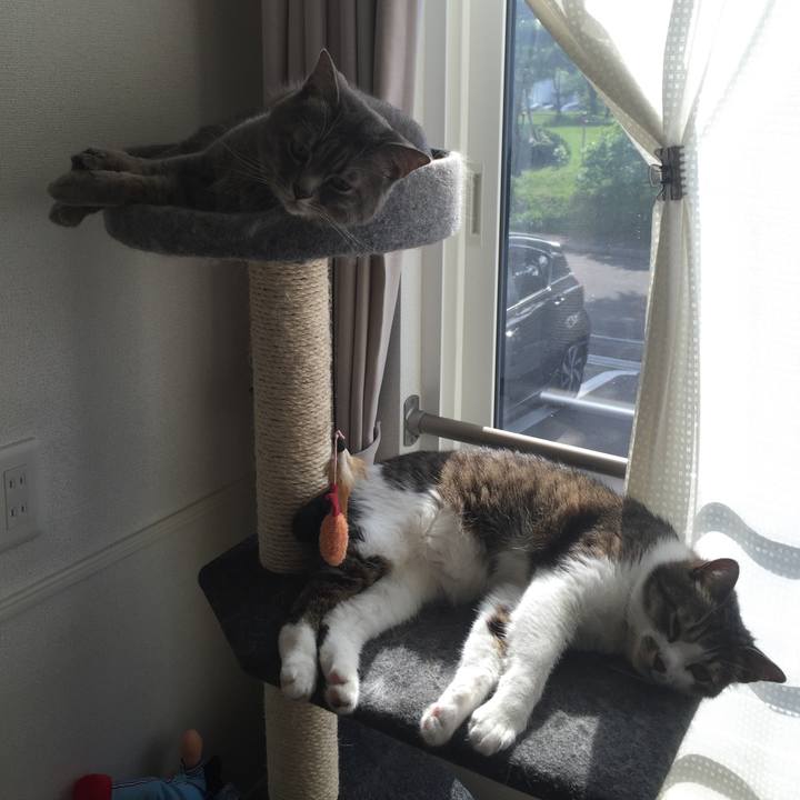 D8809859 c079 4494 a61a 1785e1d80c58