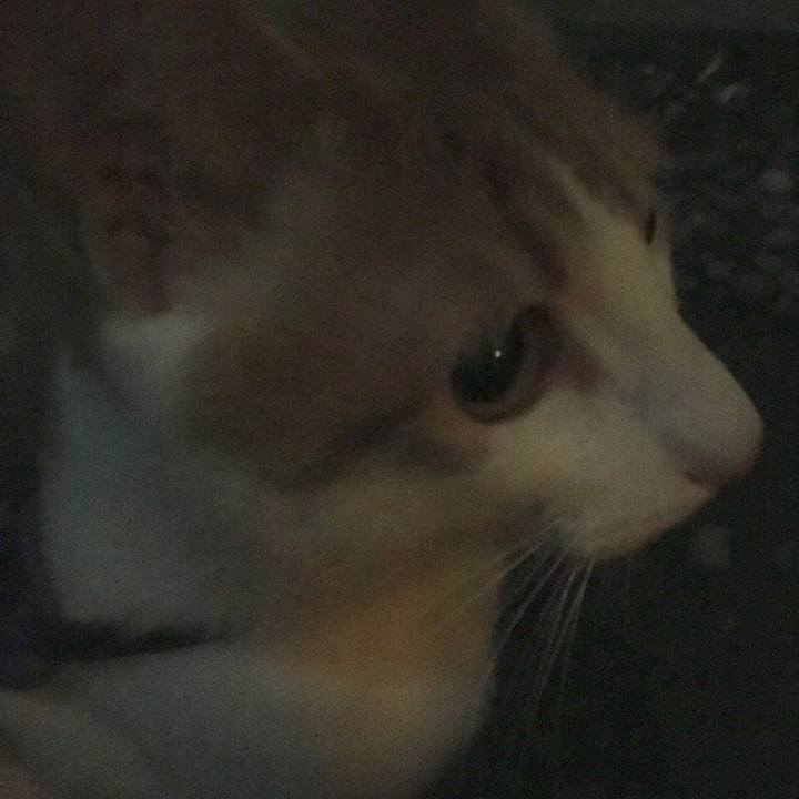 D880b551 041c 4681 8779 e049afca7c00