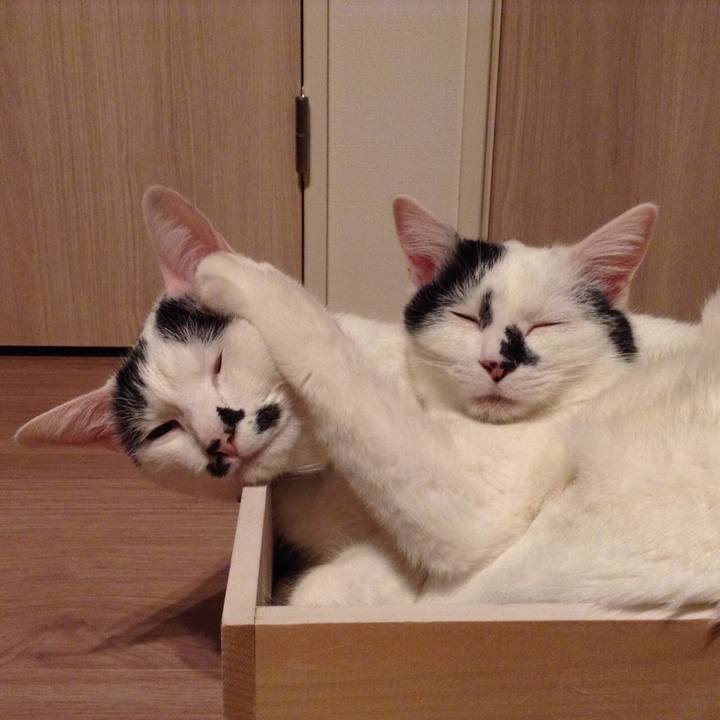 D880b6a7 0836 4dc7 b7b8 9a505c21ed05