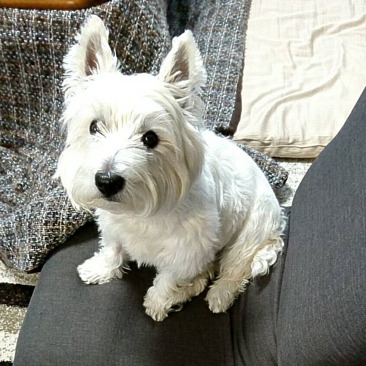 D882052e 3235 4e0d 8893 9b4ffa38aebe