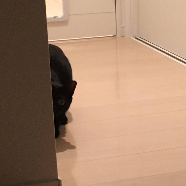 D8825064 ea2b 4335 93ac 6b6ad5d143d5