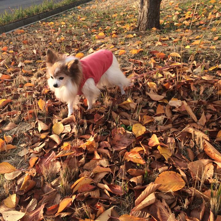 D882704d 3c37 4b84 883f b0aa1943ea5c