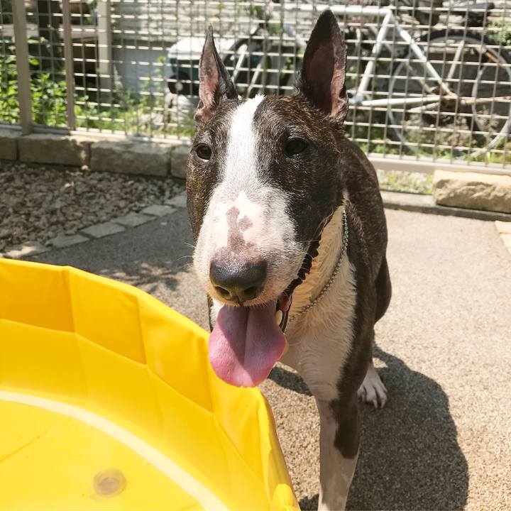 D8835034 fb37 4bb9 a569 67f215d0e611