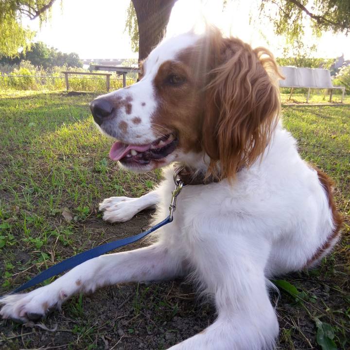 D8842549 163c 42b2 a27a acf90c2da034