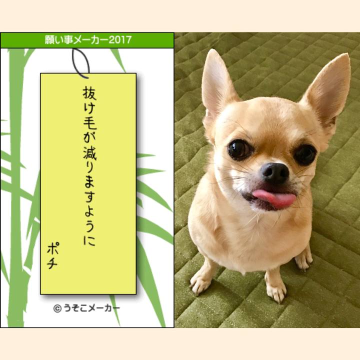 D884ad26 1138 49b1 a2ce 1c66cdef37c8