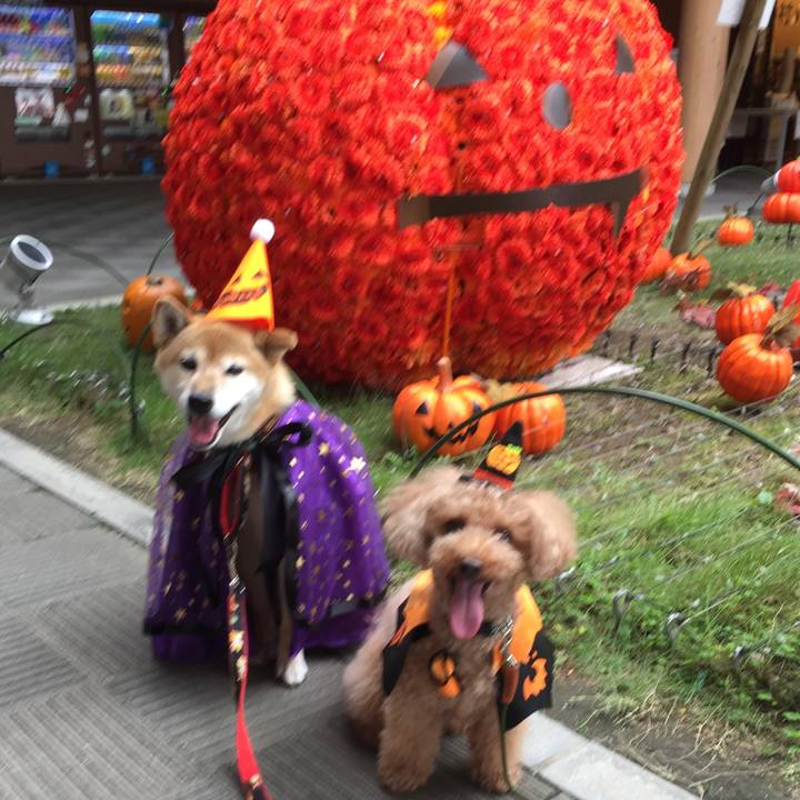 D884c6d4 fce9 4c6c b29e a08a85fd237f