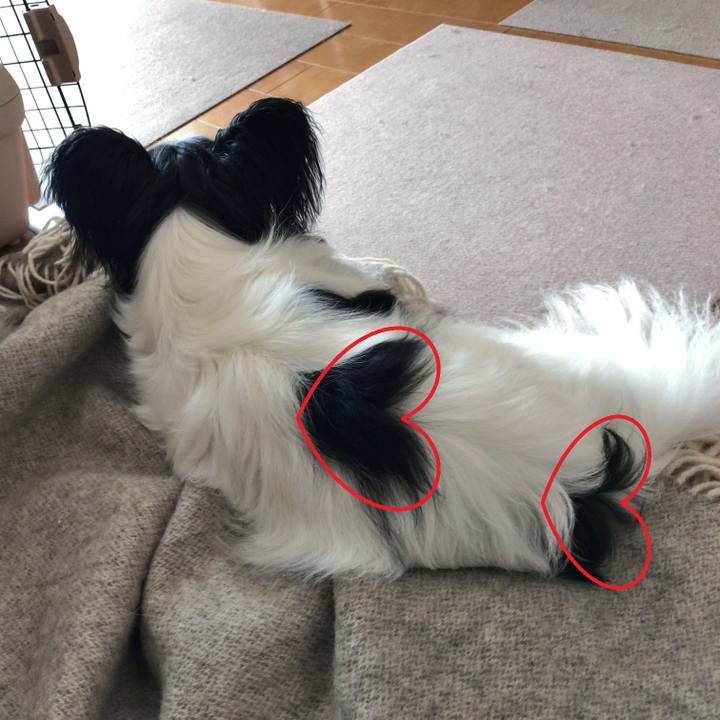 D8851ad9 f252 4c16 8c77 c1276ac64611