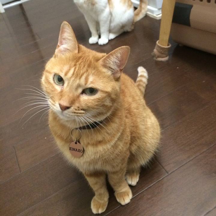 D885a51b d275 496f b4b6 ecfc6eff7f10