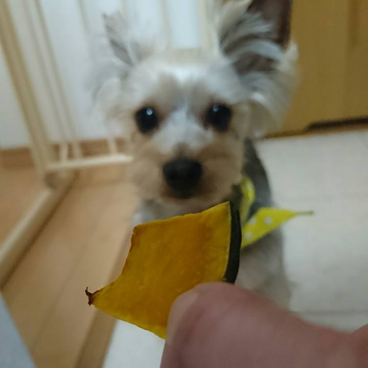 D885bf08 affd 4727 878b 5e140e8ba5e4