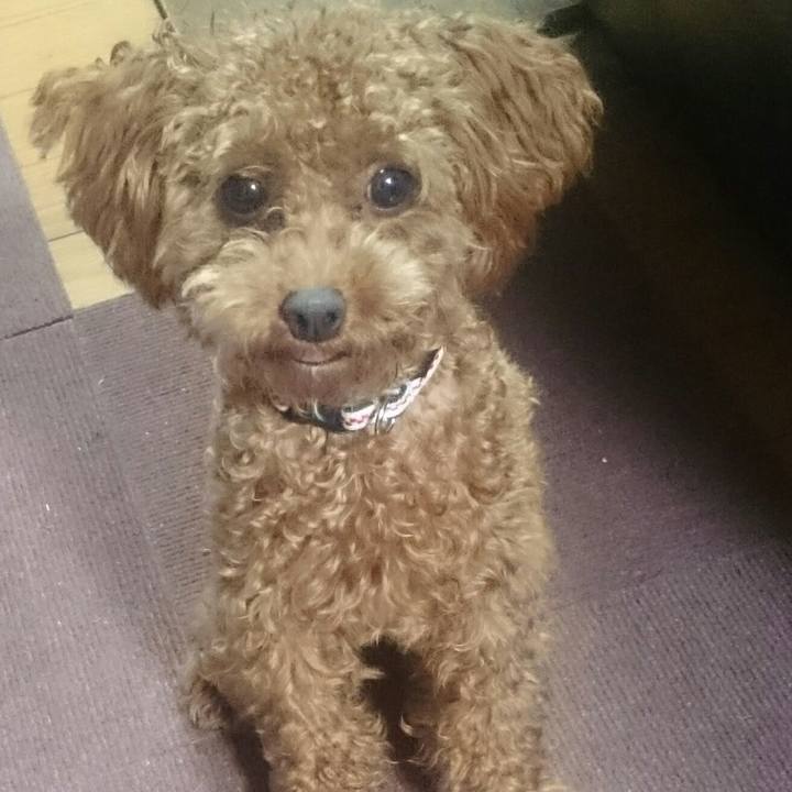 D8867391 4c0f 4646 822a a2a4d03b6054