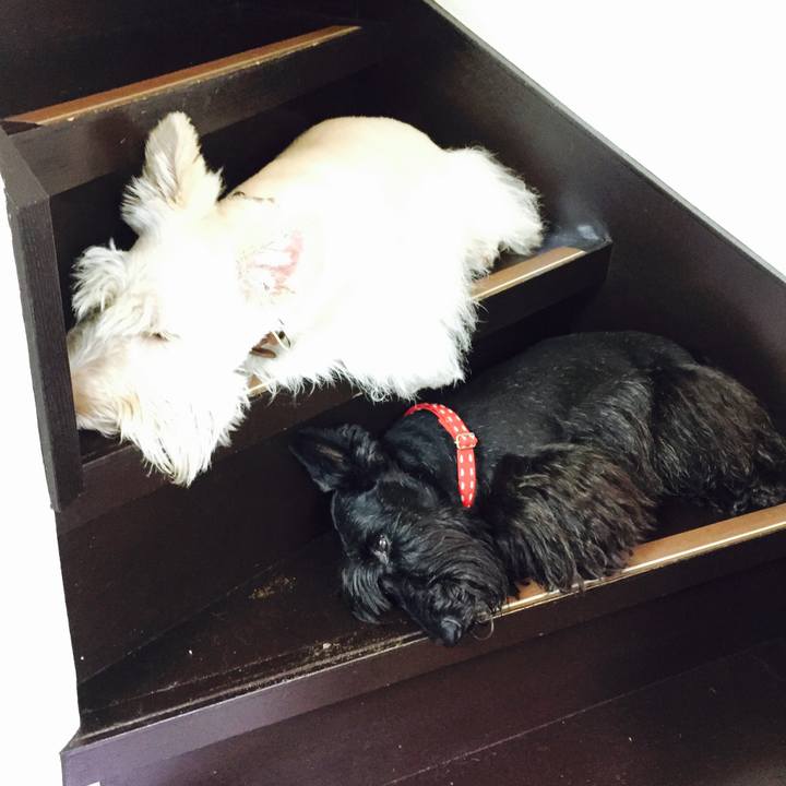 D88703a4 aa4b 47cb 925e 75c550b9d316