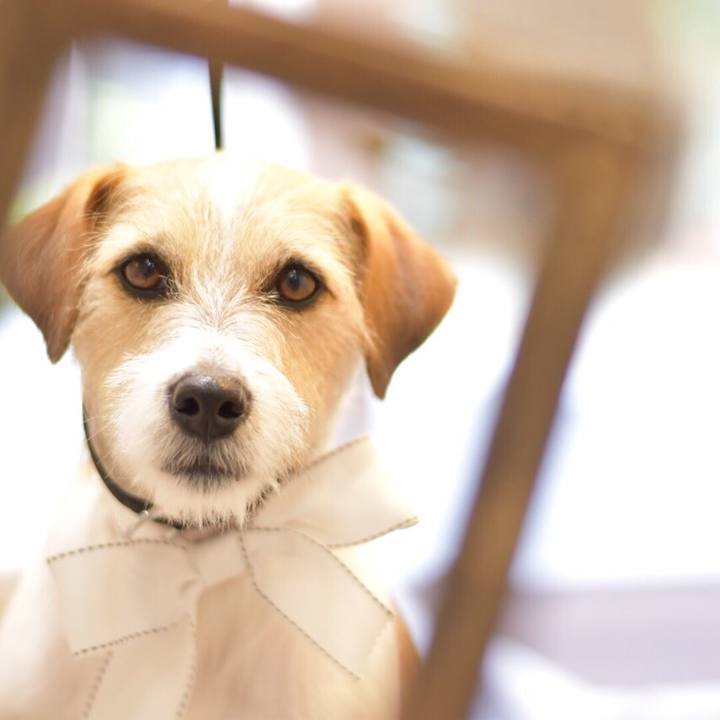 D887649a 763d 4daf b6c6 eccd0ee8a128