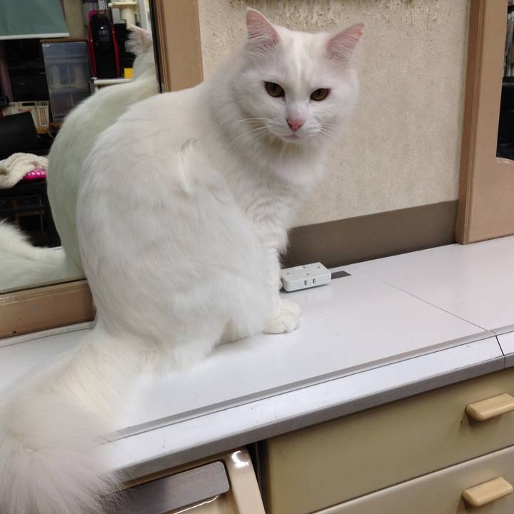 D8885a2a 5a2d 4a2a 9a0b fab33d5b1891