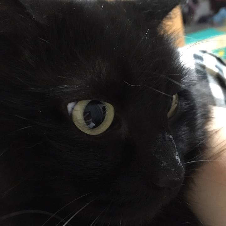 D8886c81 24fe 4987 957a 72def6fa001d