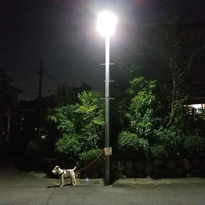 D888a99f 5931 4f6d b0a3 c8b04e4af876