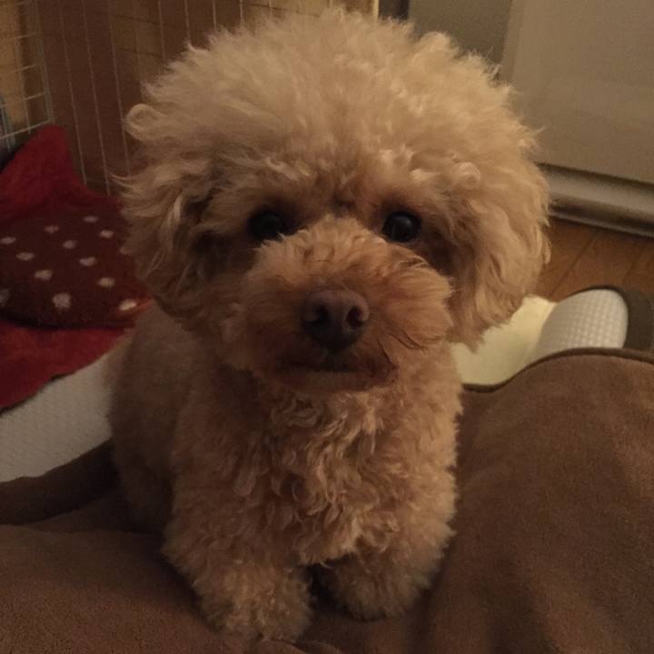 D8890691 c6f2 4733 a6ee 499efddf0e40