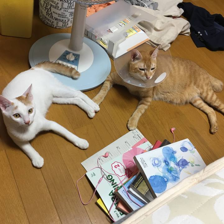 D8893a9d 3f92 49a4 a93b cbd58f960062