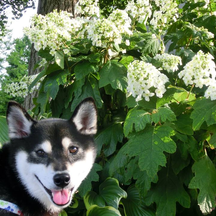 D88a1093 4c68 484a ae74 b048c207790d