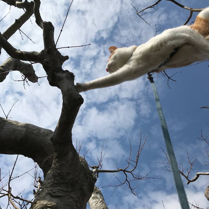 D88a83fd 4795 4a26 8f48 463daddc0ede