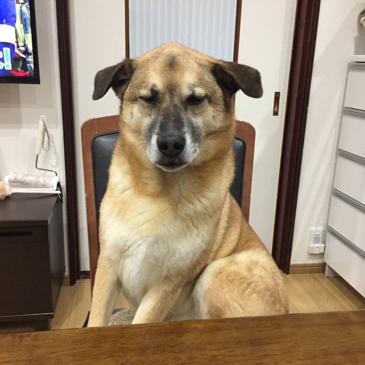 D88a8b69 e44f 4fe0 af7e 0bc8a629ef7a