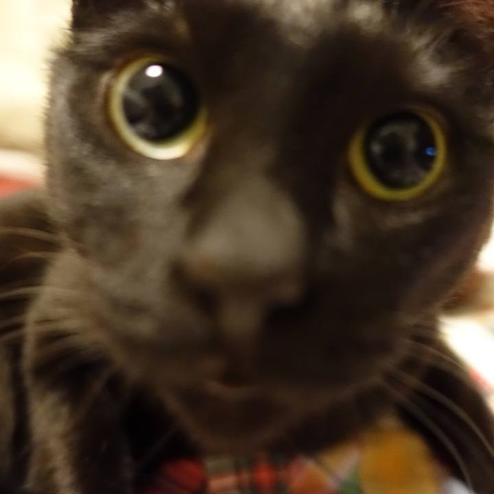 D88ab88a 9164 4eed a595 ec5b84266659