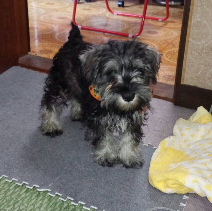 D88ac881 919d 4b40 9778 a63af3eb97de