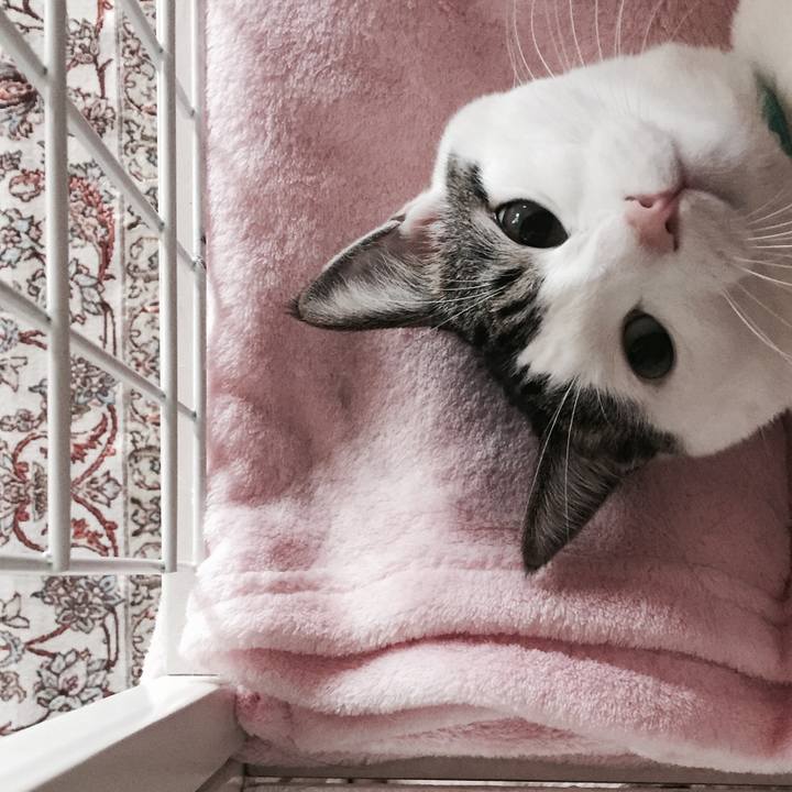 D88b125c 5688 497e 9d00 890c6429c74a