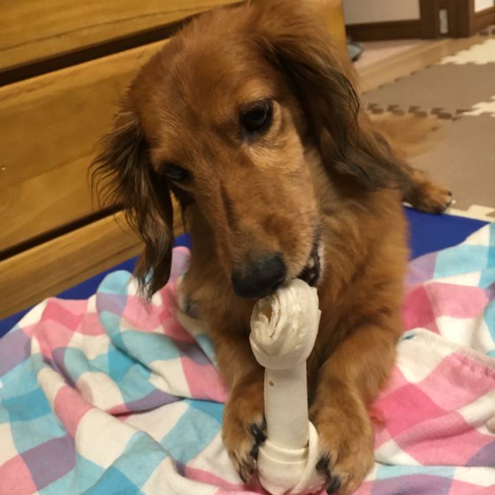 D88b7369 2e1e 4e62 91bf 2256e4dfa8af