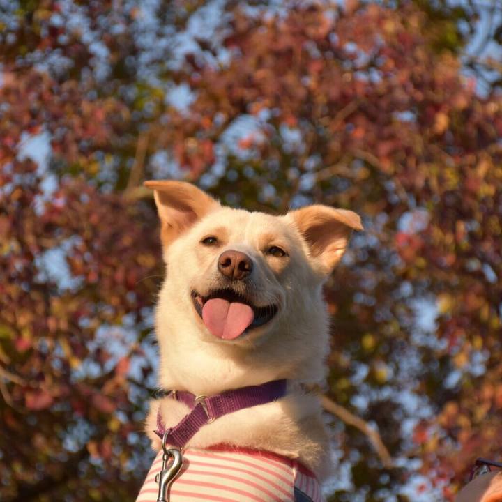 D88b910e ef90 40d1 b0a6 b35a75d4340e