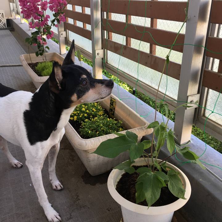 D88d77fb 1ecd 4c2c 8c14 96321c6972b3