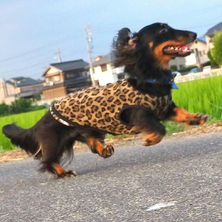 D88e33fa eb42 48eb 9e37 add954816603