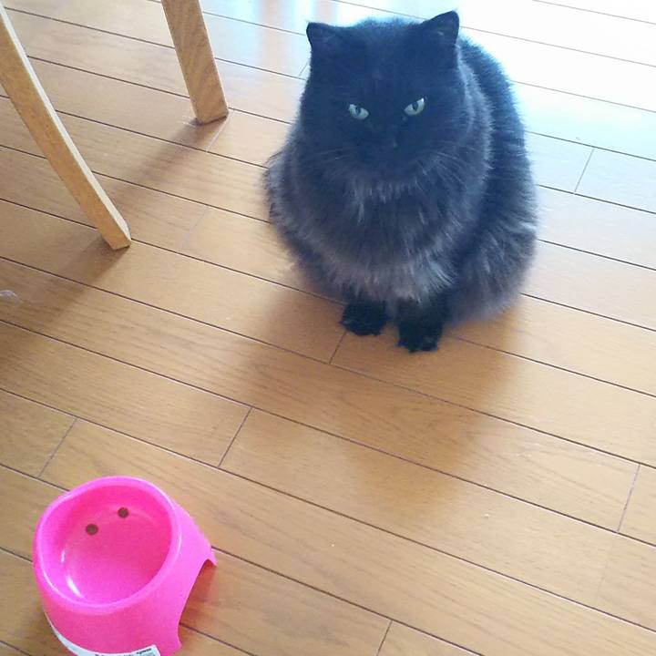 D88edad1 5bae 4ad9 8935 d09d2106fbef