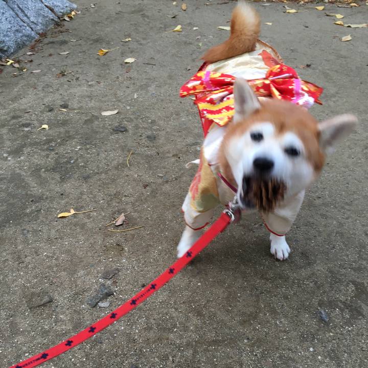 D88f059c 2b18 4ea7 be16 e8668b856ec3