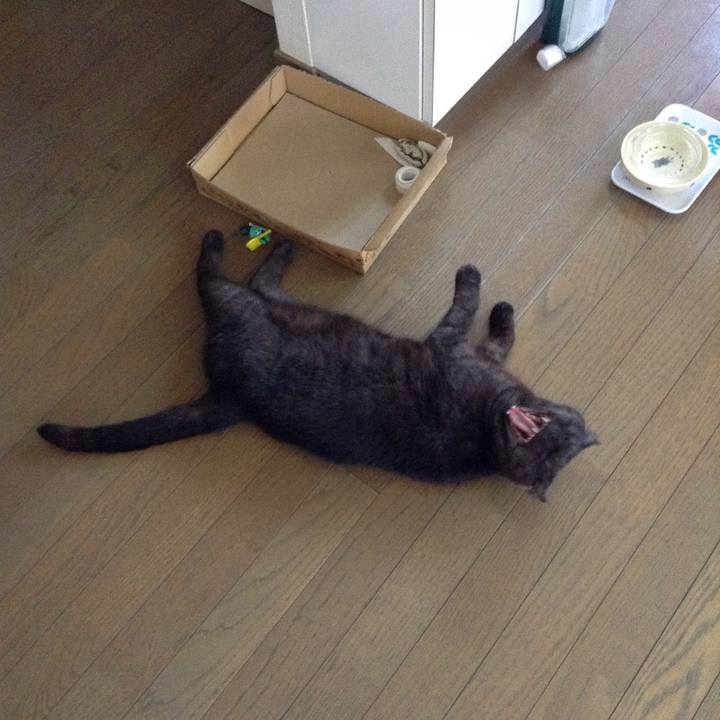 D88f1683 cd56 4285 9b71 0cf8a2046209