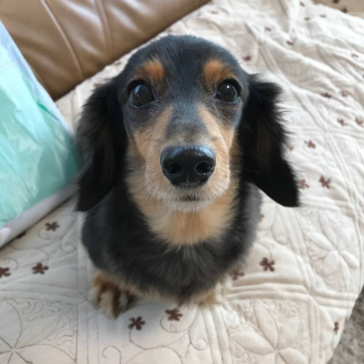 D88f8e06 3def 451c a50f 00396eb9461c