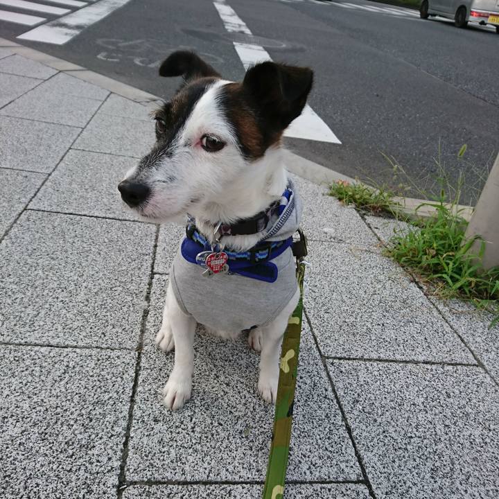 D890b0af 83d7 4cbd b898 91eeeeaa46dd